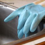 Blue Cleaning Gloves