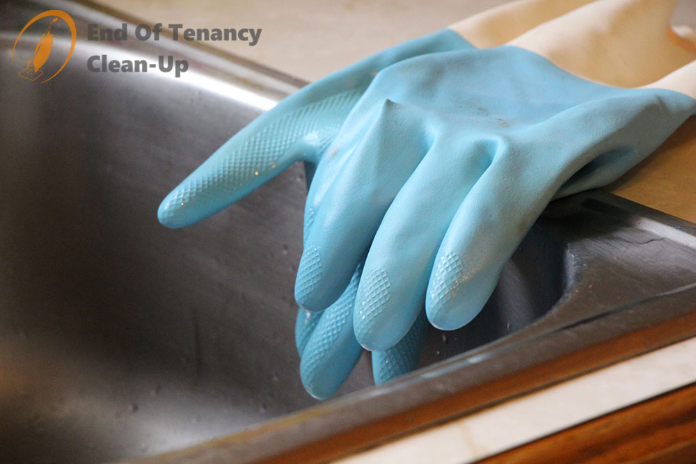 Blue Cleaning Gloves